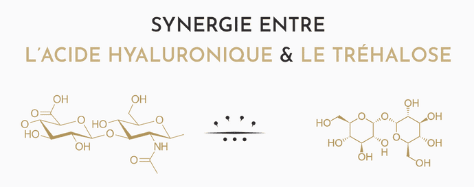 Sisthaema est un skinbooster de dernière génération basé sur l'association de l'acide hyaluronique et du tréhalose